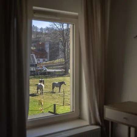 Doliny 슈차이르크