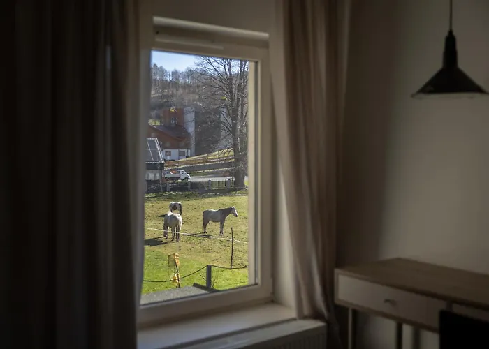 Doliny 슈차이르크